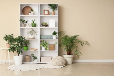 Odada bej duvarın yanında fotoğraf çerçeveli raflar ve ev bitkileri var.