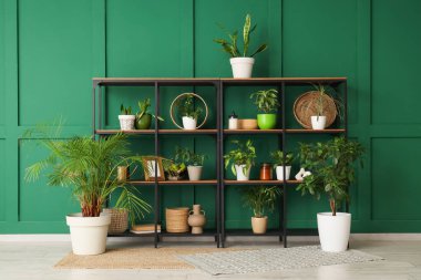 Odanın içindeki yeşil duvarın yanında farklı ev bitkileri olan raf ünitesi.