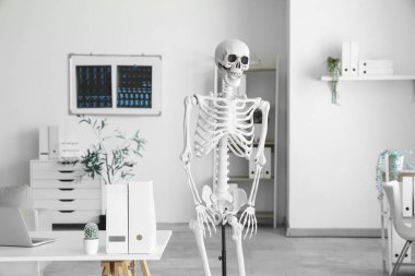 Masada insan iskeleti modeli ve modern dizüstü bilgisayarı olan hafif bir hastane.