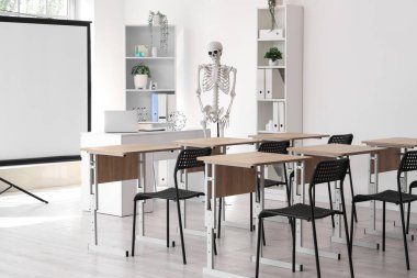 İnsan iskeleti modeli, masa ve projektör ekranlı modern dizüstü bilgisayarlı hafif hastane konferans salonu.