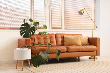 Deri kanepe, zemin lambası ve odanın içindeki Monstera bitkisi.