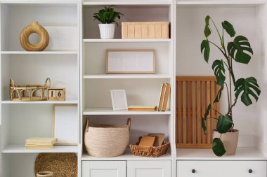 Boş çerçeveli dolap, oturma odasında bitkiler ve kitaplar.