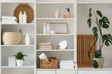 Banyo malzemeleri ve bitkilerle dolu bir dolap.