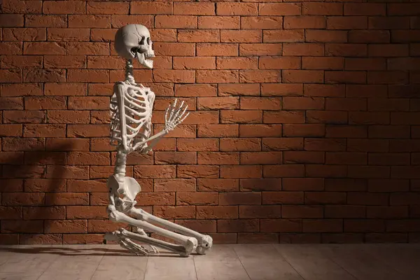 Duvarın yanında dua eden insan iskeleti modeli.