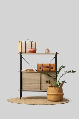 Gri arka planda ev bitkisi, dekor ve antika bavullu şık raf ünitesi