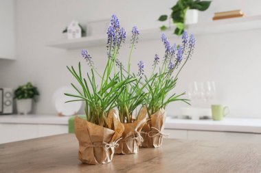 Mutfaktaki masada güzel Muscari çiçekleri, yakın plan.