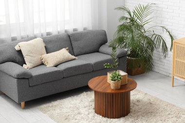 Gri kanepeli, sehpalı ve sepetli ev bitkileriyle şık bir oturma odası.