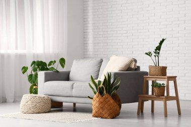 Oturma odasının içinde sepetlerde kanepe, tabure ve bitkiler var.