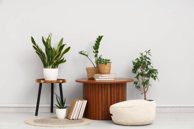 İçinde masalar, puf ve yeşil bitkiler olan ışık odasının içi.