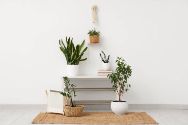 Kitaplar ve yeşil bitkilerle aydınlık duvarın yanındaki bankta.