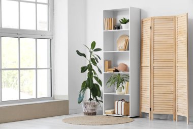 Kitaplığı, bitkileri ve katlanan ekranı olan ışık odasının içi