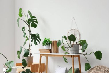 Masaların üzerinde Monstera bitkileri olan oturma odasının içinde.