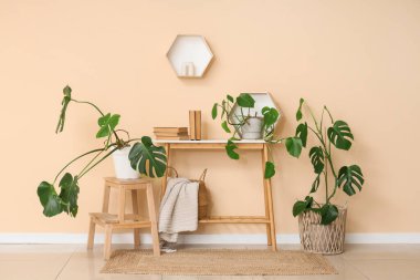 Odanın içinde masa, raf ve Monstera bitkileri var.