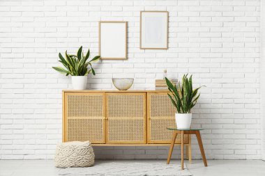 Masalı çekmeceler ve Sansevieria odasındaki beyaz tuğla duvarın yanında bitki yetiştiriyor.