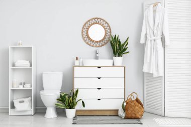 Tuvalet, lavabo ve Sansevieria bitkileriyle dolu bir tuvalet.