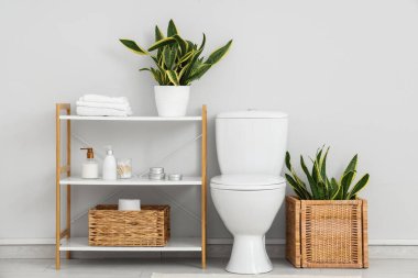 Tuvaletin içinde klozet, raf ünitesi ve Sansevieria bitkileri var.