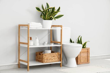 Tuvaletin içinde klozet, raf ünitesi ve Sansevieria fabrikası var.