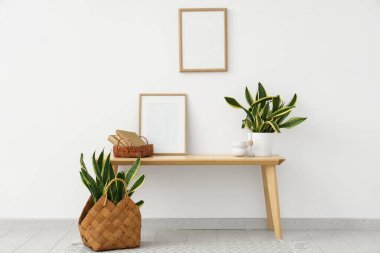 Odanın içinde masa, boş çerçeveler ve Sansevieria bitkileri var.