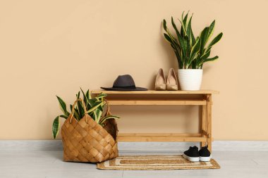 Koridorun içinde bank ve Sansevieria bitkileri var.