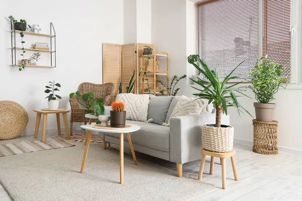 Gri kanepesi, kahve masası ve çiçekleri olan şık bir oturma odası.