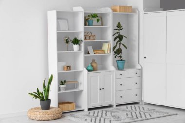 Kitaplar, çerçeveler ve bitkilerle dolu bir dolap.