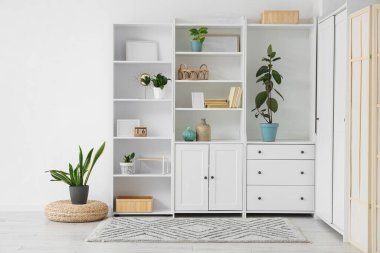 Kitaplar, çerçeveler ve bitkilerle dolu bir dolap.