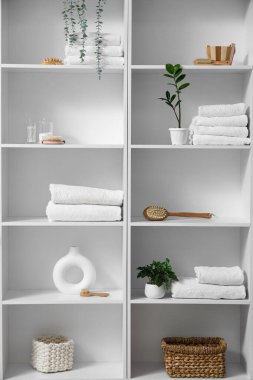 Banyo malzemeleri ve bitkiler raflarda.