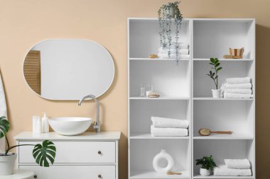 Banyonun içinde raf ünitesi, lavabo ve bitkiler var.