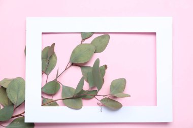 Okaliptüs dalı ve pembe arkaplan üzerindeki çerçeve