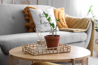 Reed dağıtıcı, tepsi ve bitki, oturma odasının iç tarafındaki sehpanın üzerinde, yakın plan.