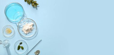 Açık mavi arkaplandaki petri kabı ve bitkiler metin ve üst görünüm için boşluk