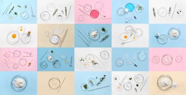 Petri kabı kolajı ve laboratuvar vitrinleri renk arkaplanı, üst görünüm