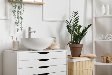 Lavabo, banyo aksesuarları ve banyo içi bitkileri.