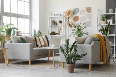 Oturma odasının içinde gri kanepeler, sehpada dizüstü bilgisayarlar ve ev bitkileri var.