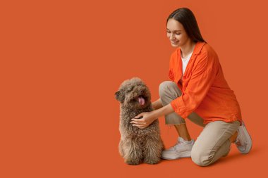 Kırmızı arka planda oturan kahverengi kaniş köpekli genç kadın.