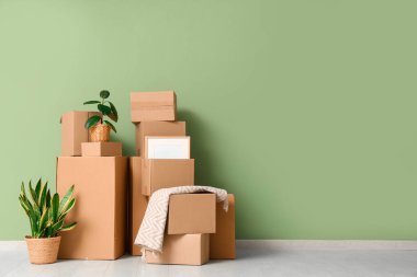 Oturma odasının içinde ev bitkileri ve yeşil duvarın yanında bir sürü paket var.