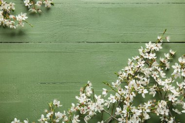 Yeşil ahşap arka planda güzel ağaç dalları