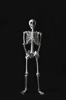 Siyah arka planda korkunç insan iskeleti