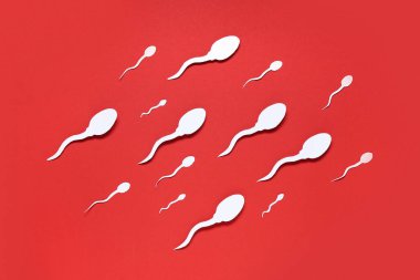 Kırmızı arkaplanda sperm hücreleri