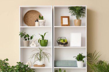 Odada bej duvarın yanında fotoğraf çerçeveli raflar ve ev bitkileri var.