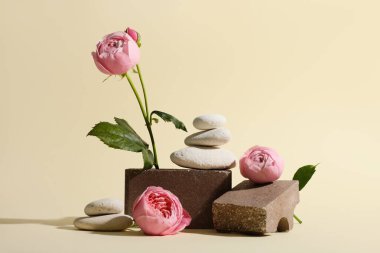 Bej arkaplanda taşlar ve güzel çiçekler