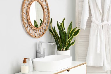 Lavabo sabun ve Sansevieria bitkisi banyoda.