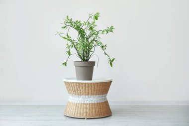 Odadaki ışık duvarının yanındaki yeşil sandık.