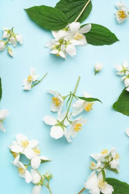 Mavi arka planda güzel yasemin çiçekleri olan kompozisyon