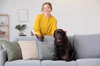 Evdeki kanepede pamuklu silindir ve Labrador köpeğiyle yastık temizleyen genç bir kadın.