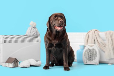 Mavi arka planda elektrikli ısıtıcısı ve ev modeli olan şirin Labrador köpeği.