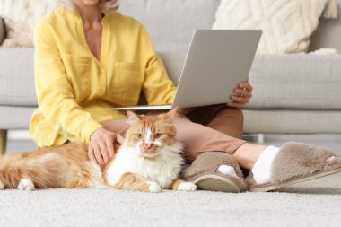 Evde dizüstü bilgisayar kullanan yumuşak terlikli güzel bir kadın.