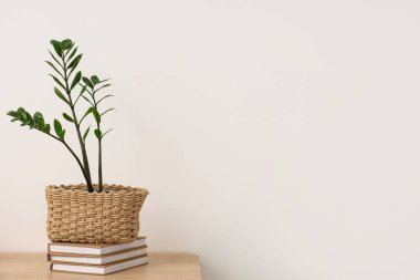 Işık duvarının yanındaki masada bitki ve kitaplarla dolu bir sepet.