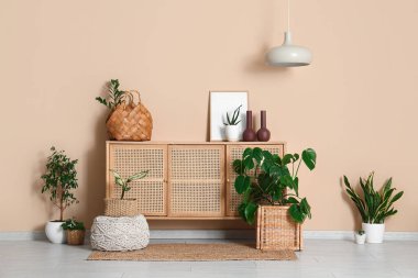 Klozet, hasır sepetler ve bitkilerle dolu bir oda.