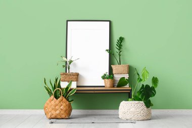 Boş çerçeve ve sepetler, yeşil duvarın yanındaki bankta bitkiler.